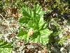 2003_0622_143650AA.jpg